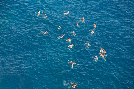 在海中游泳的人照片