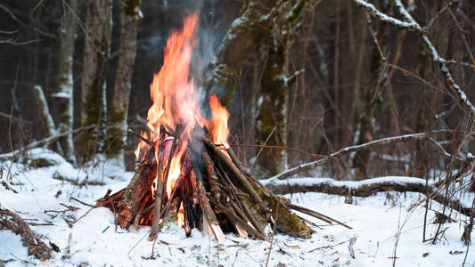 大的篝火，在冬季森林特写