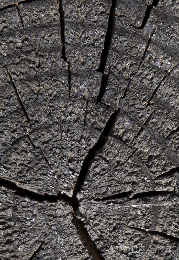 抽象的裂纹的木头