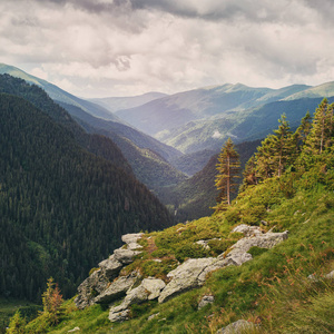 山风景。罗马尼亚的大山。悬崖附近的 Transfagarasan 路。高山山峰