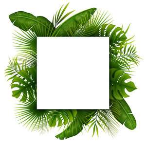白色背景的文本隔离的热带绿色叶子与白色正方形框架地方