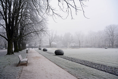 在公园里一冬天天根树枝覆盖白霜