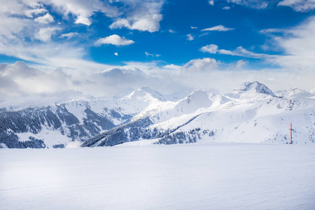 在奥地利阿尔卑斯山的新鲜雪覆盖的树木