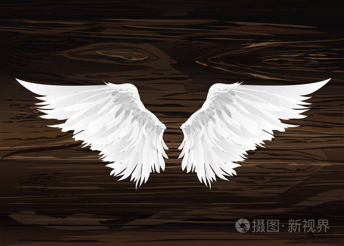 翅膀.在木质背景上的矢量插图.黑白相间