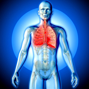 3d 渲染医学图像的肺部强调男性图