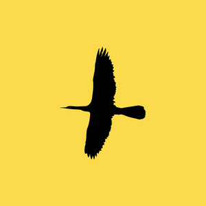 飞行大鸟图标图孤立的矢量标志符号