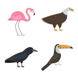鸟类向量组的孤立的插图