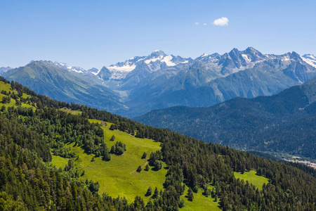 绿色山夏天风景