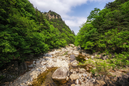 在五台山 Np 的 Sogeumgang 河