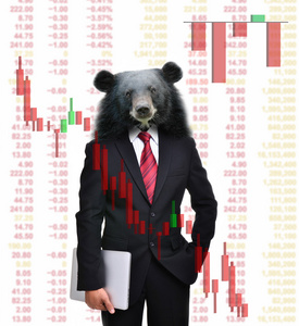熊市中，股票投资理念