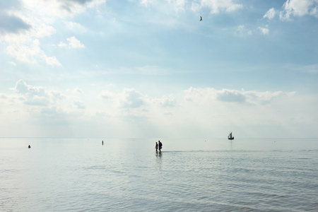 在波罗的海的一个阳光明媚的夏日低潮