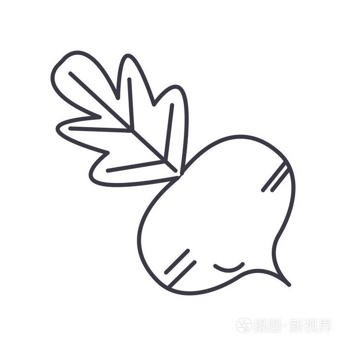 甜菜矢量线图标, 标志, 插图背景,可编辑笔触插画-正版商用图片0ciezb