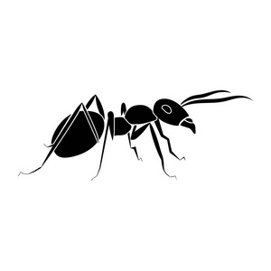 昆虫集合图标黑色, 单色, 轮廓样式矢量符号股票插画网站蜘蛛, 蚂蚁