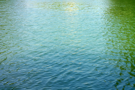 池塘波在城市公园池塘里的水波纹照片