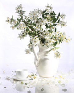 静物与一个白色的花瓶和杯茶茉莉鲜花