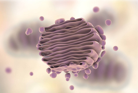 琉璃镜高尔基体的,特写视图照片