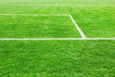 足球场的体育场背景 照片