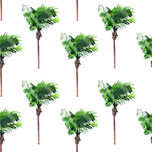 夏日热带植物丛林壁纸