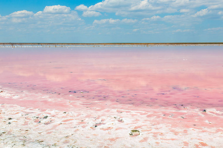盐海水蒸发池与粉红色浮游生物颜色照片