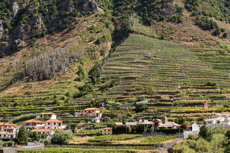 村庄和露台的培养环境中的圣维森。葡萄牙马德拉岛北部海岸