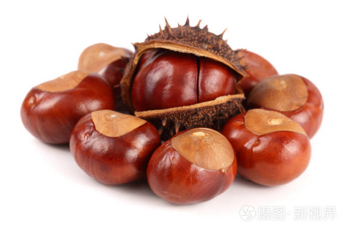 白色背景特写一个孤立的板栗