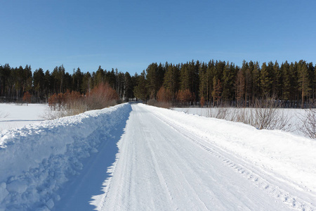 积雪的路上，去针叶林，西伯利亚，俄罗斯
