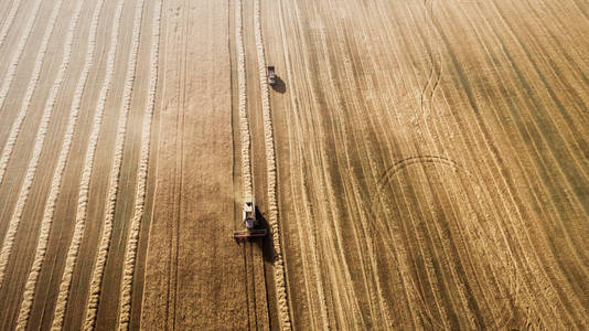 工作场和鬼脸小麦联合收割机。乌克兰。鸟瞰图