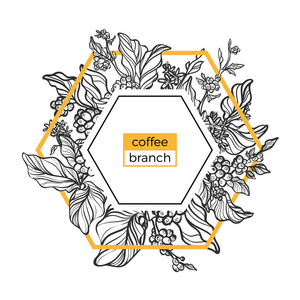 时髦的模板。咖啡树枝与树叶 花朵和天然咖啡豆。矢量