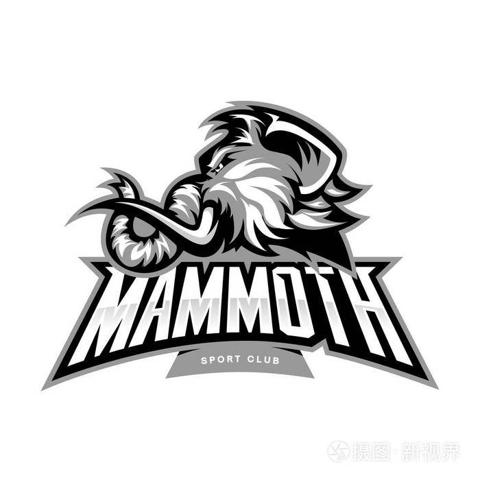 白色背景上孤立的愤怒长毛猛犸象头运动矢量标志概念