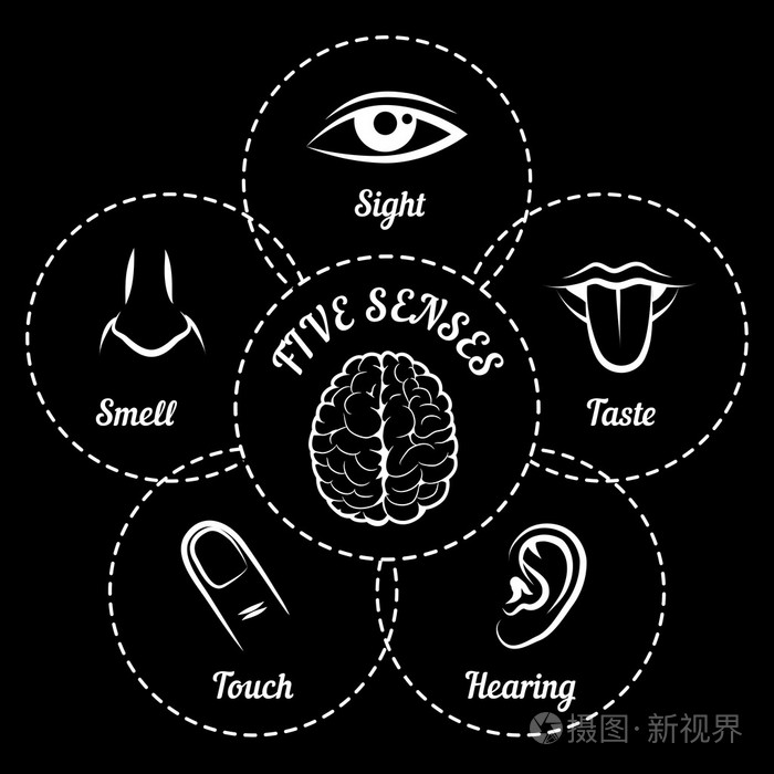 五种感官计划
