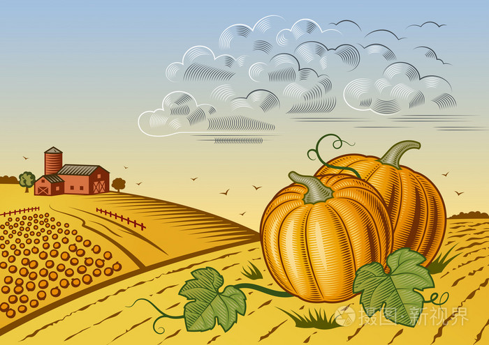 南瓜丰收景观