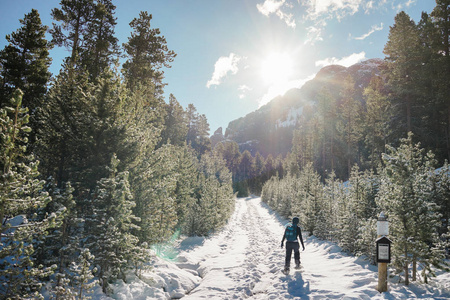 女性的徒步旅行者在冬天在森林里走着雪