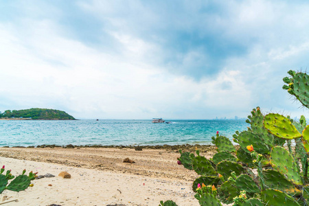 美丽的热带海滩，在芭堤雅岛柯兰