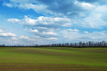 字段和 cloudscape