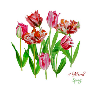 背景与 tulips403