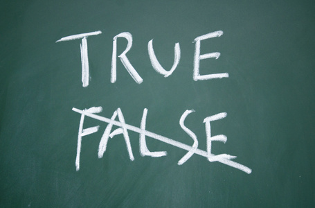 true 与 false 的标志