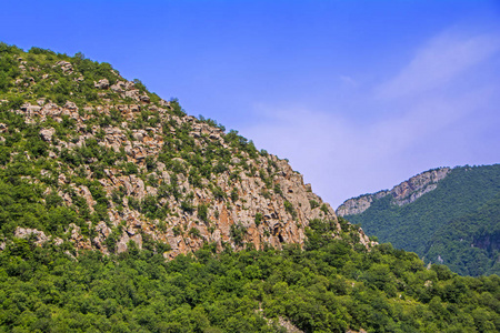 美丽绿色的自然景观 夏天的阳光照耀下的石头背景