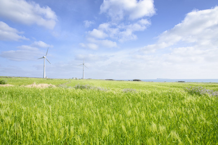 景观的绿色大麦场和风力发电机
