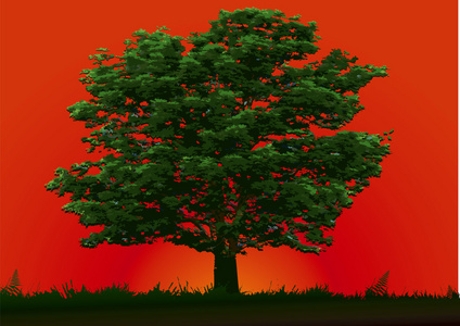 树和红色夕阳图片