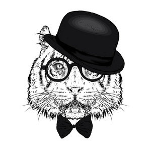 一只戴着帽子和眼镜的漂亮老虎.矢量插图.野生动物, 食肉动物照片