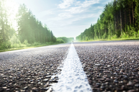 阳光林中的道路浅自由度