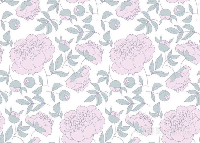 牡丹素描矢量图.手画的春天花绘曲面设计