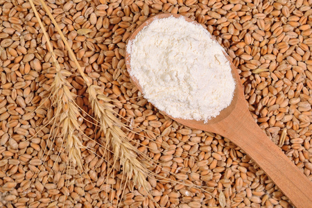 麦子面粉白色的木勺,耳朵上一粒麦子小麦面粉照片