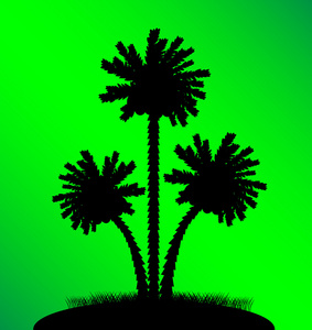绿色背景上的棕榈树的轮廓