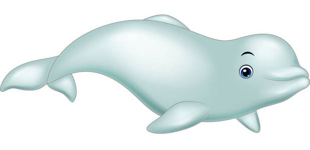 孤立在白色背景上的卡通白鲸