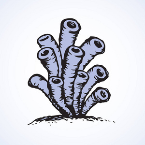 可爱的海葵图片-可爱的海葵素材-可爱的海葵插画-摄图新视界