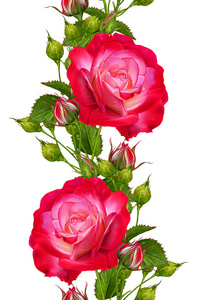 背景下野生花卉的两个田园花环的水彩画画矢量花卉贺卡, 明信片设计