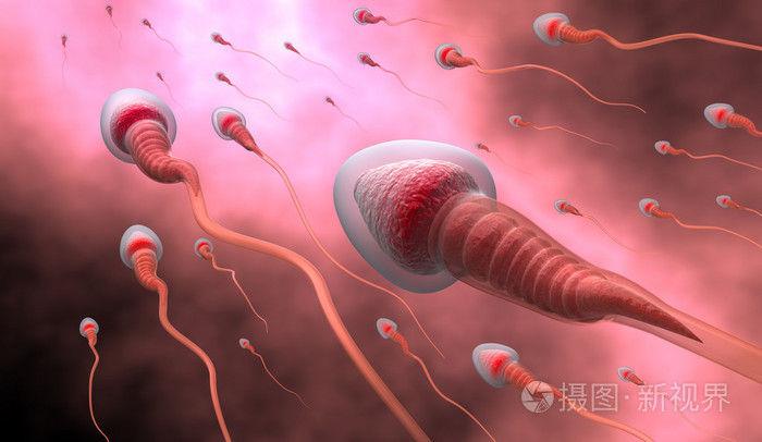 自然受精 精子和卵细胞