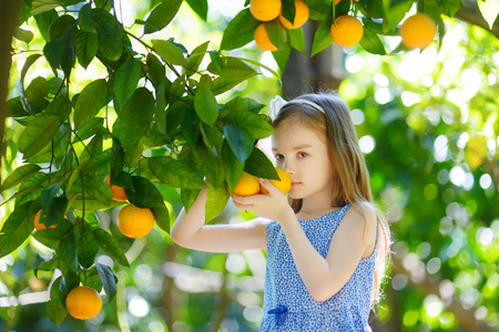 女孩采摘新鲜成熟的橘子