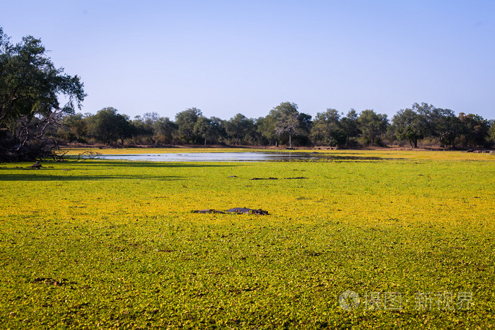 非洲风景照片-正版商用图片0clxzl-摄图新视界